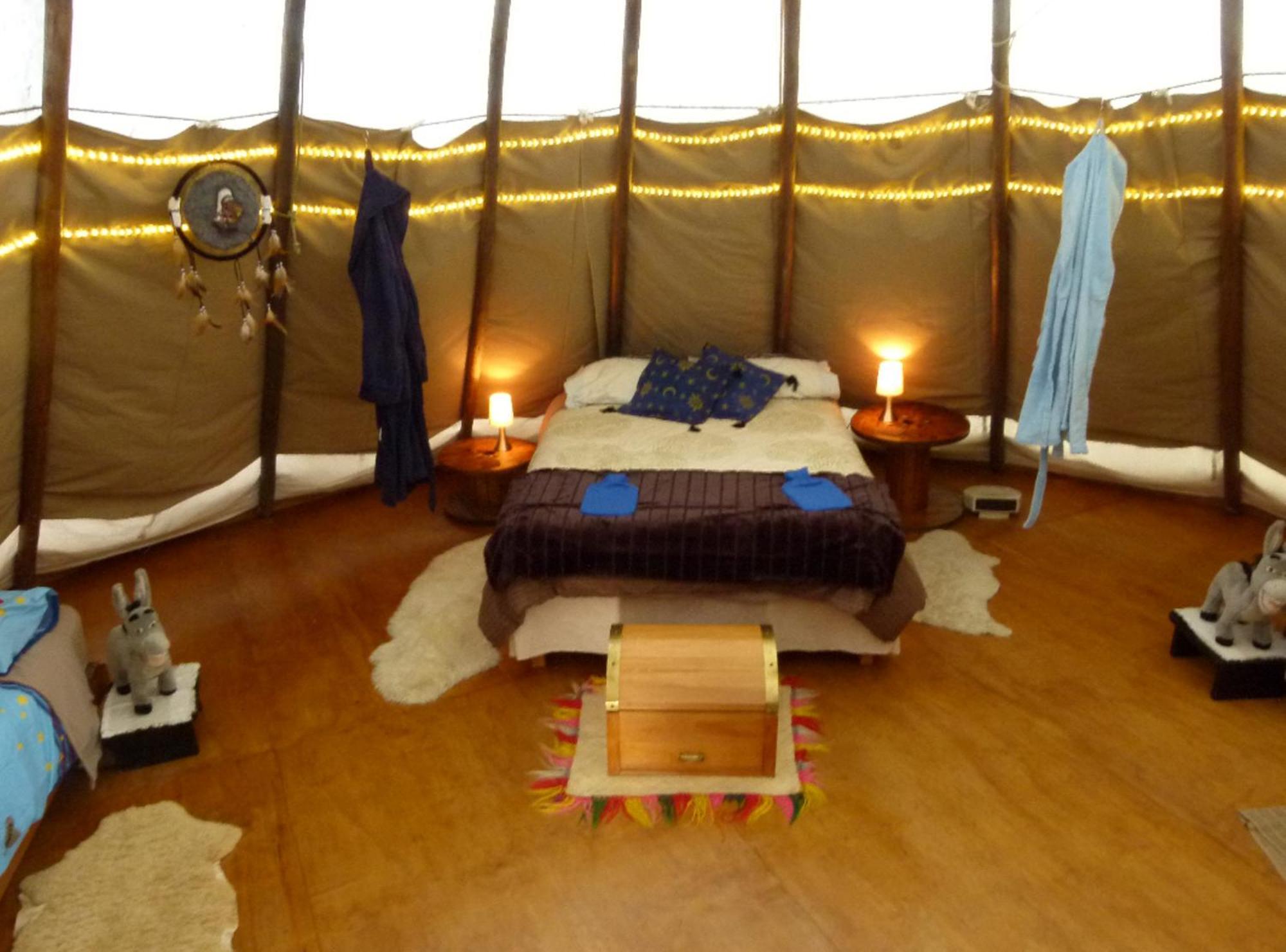 Wacky Stays - Unique Farm-Stay Glamping Rentals, Free Animal Feeding Tours Kaikoura Exterior foto