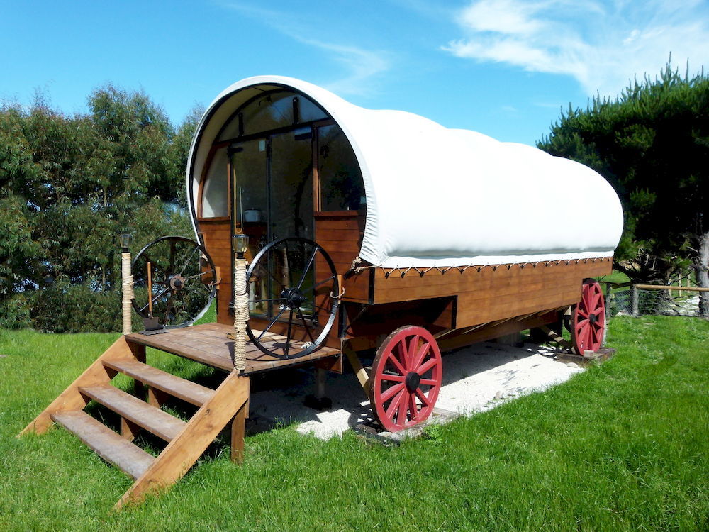 Wacky Stays - Unique Farm-Stay Glamping Rentals, Free Animal Feeding Tours Kaikoura Exterior foto