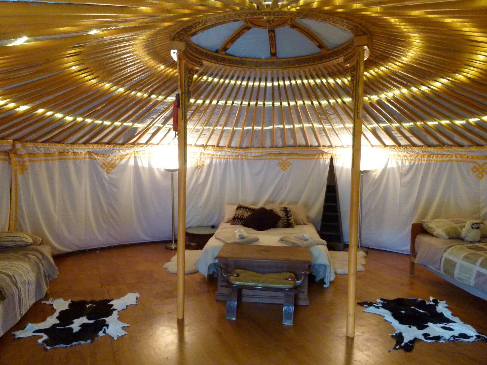 Wacky Stays - Unique Farm-Stay Glamping Rentals, Free Animal Feeding Tours Kaikoura Exterior foto