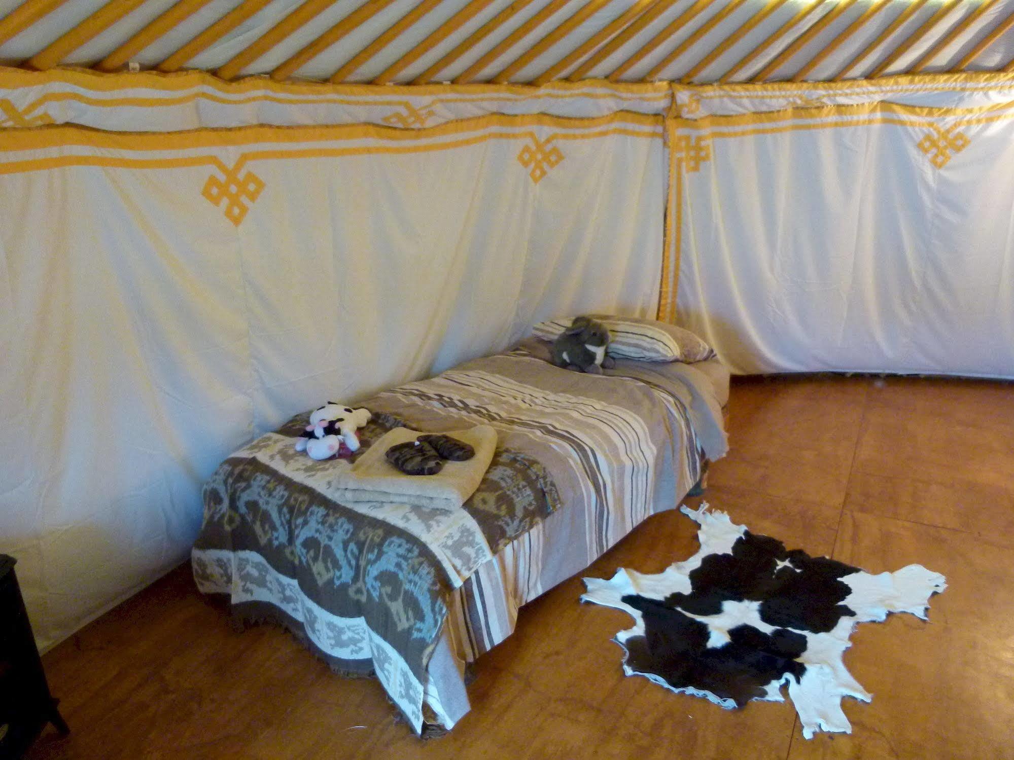 Wacky Stays - Unique Farm-Stay Glamping Rentals, Free Animal Feeding Tours Kaikoura Exterior foto