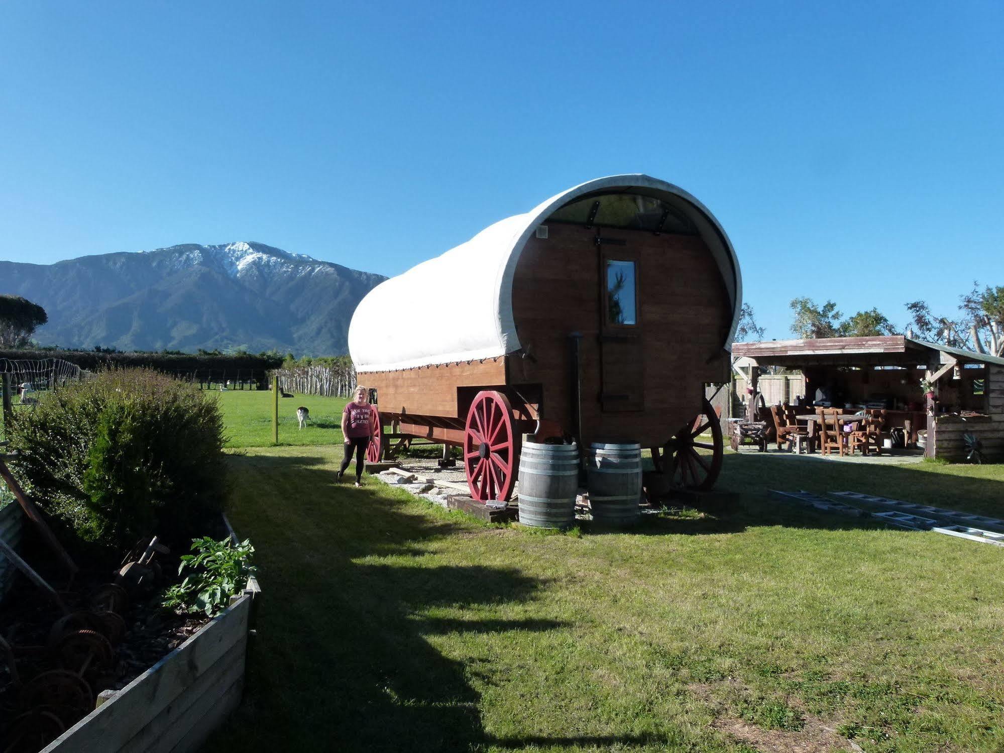 Wacky Stays - Unique Farm-Stay Glamping Rentals, Free Animal Feeding Tours Kaikoura Exterior foto